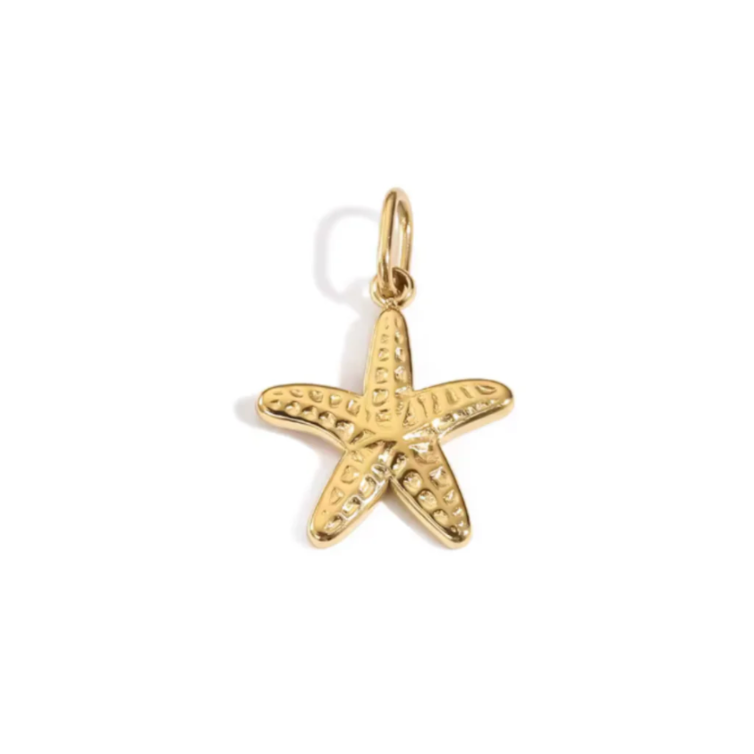 Seestern Charms