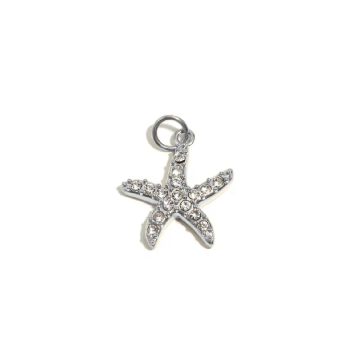 Seestern Charms