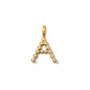 Shiny Letter Charm