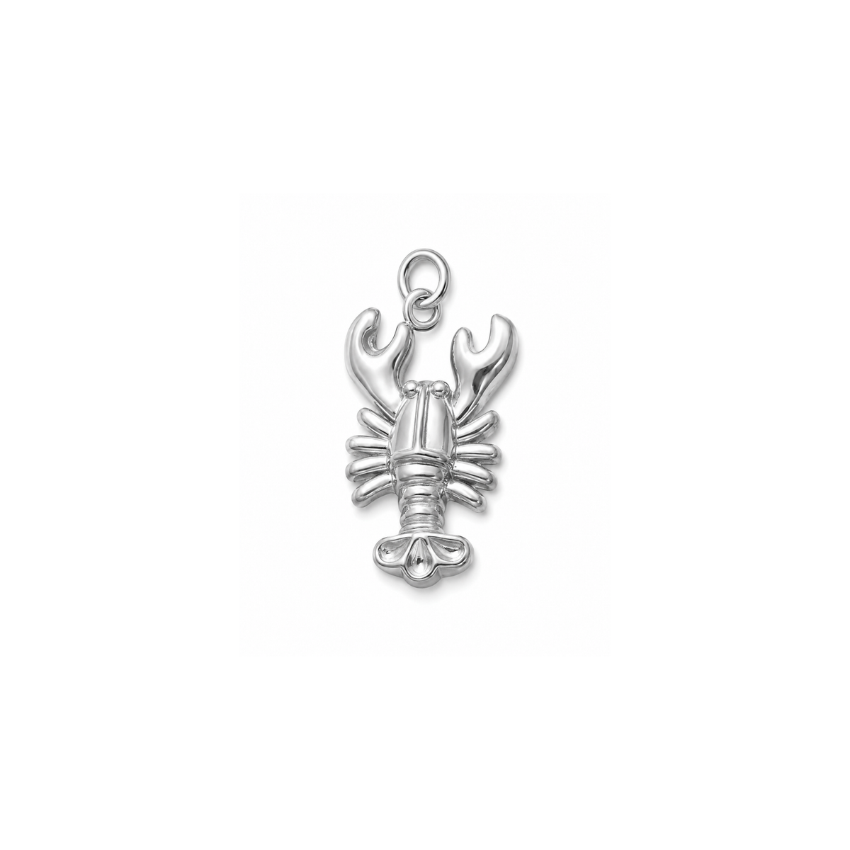 GOLDEN HOUR | Lobster Charm