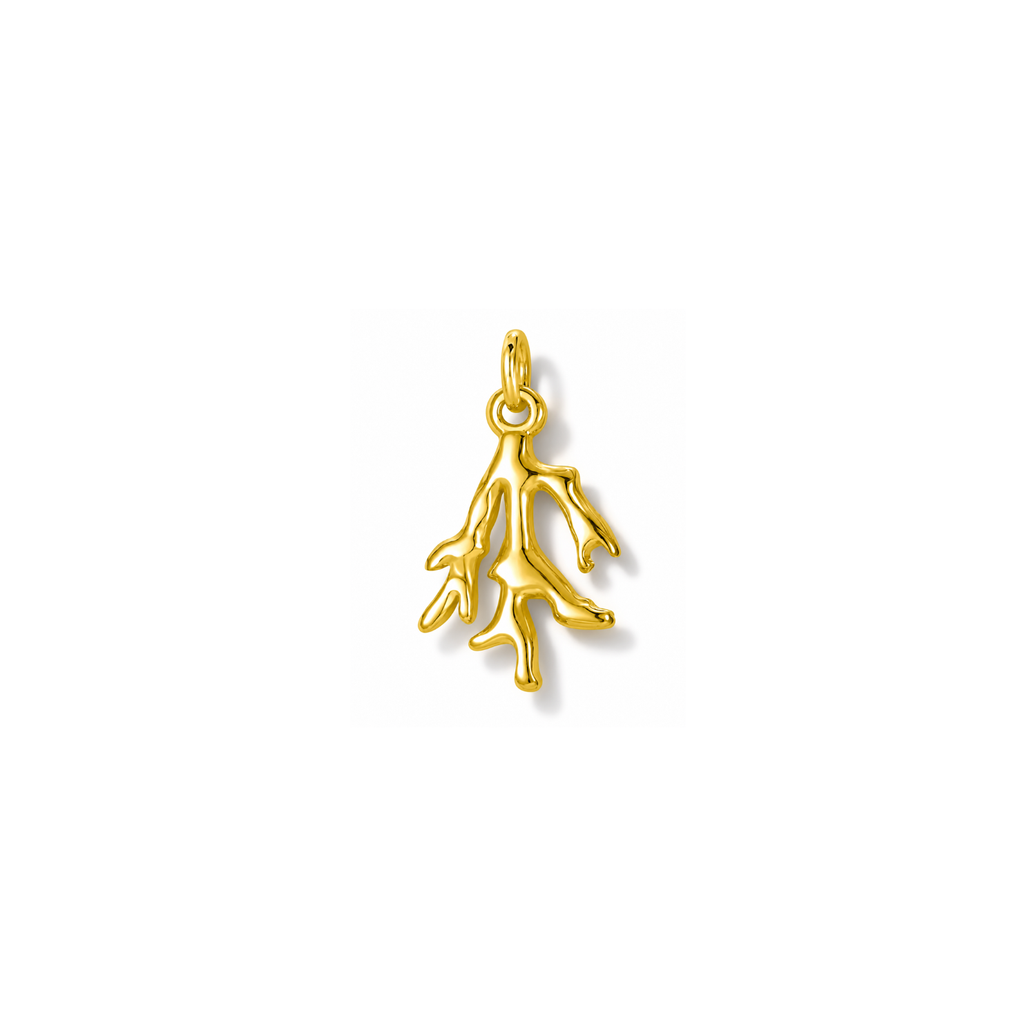 ENDLESS SUMMER | Coral Charm