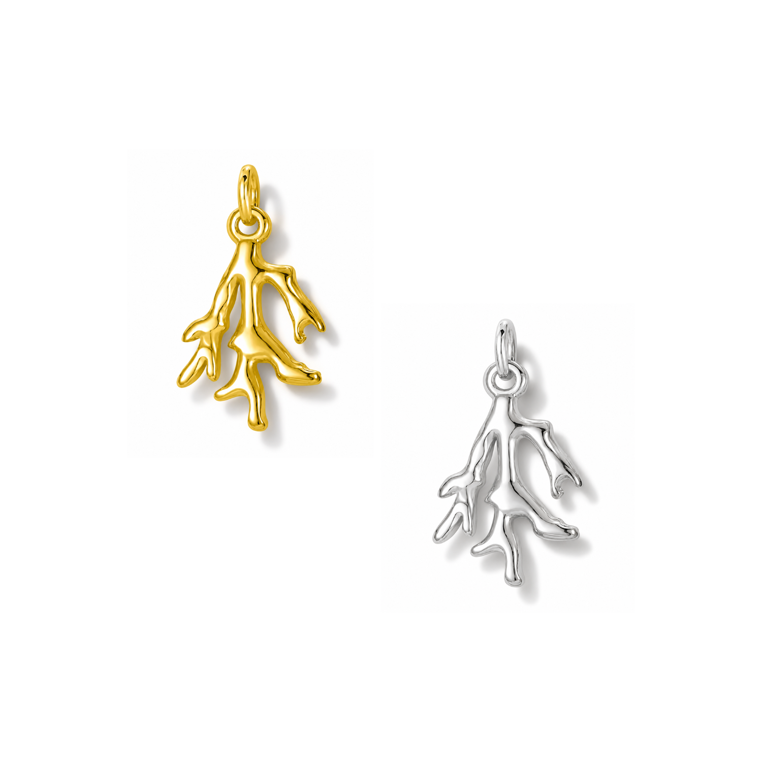 ENDLESS SUMMER | Coral Charm