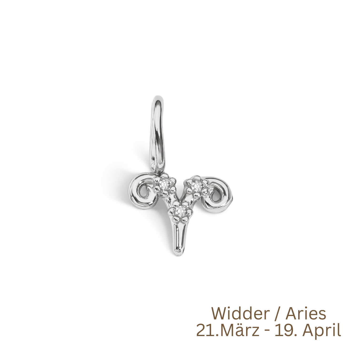 Zodiac Charm | Sternzeichen