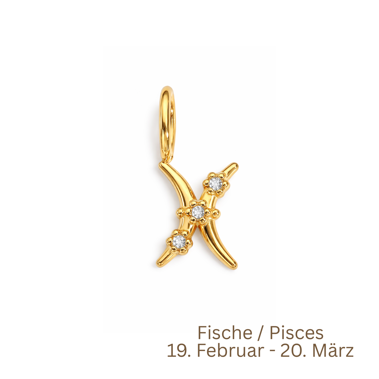 Zodiac Charm | Sternzeichen