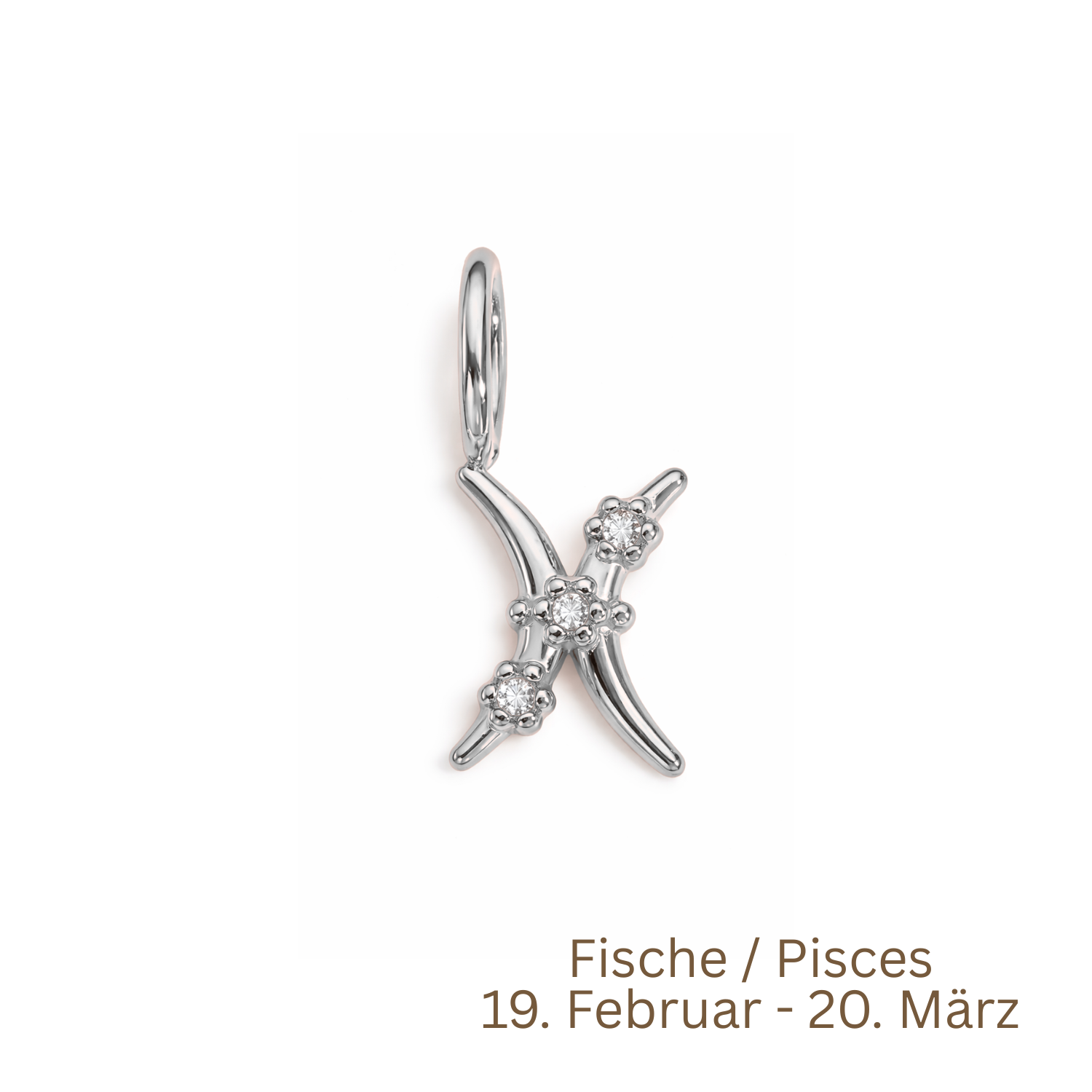 Zodiac Charm | Sternzeichen