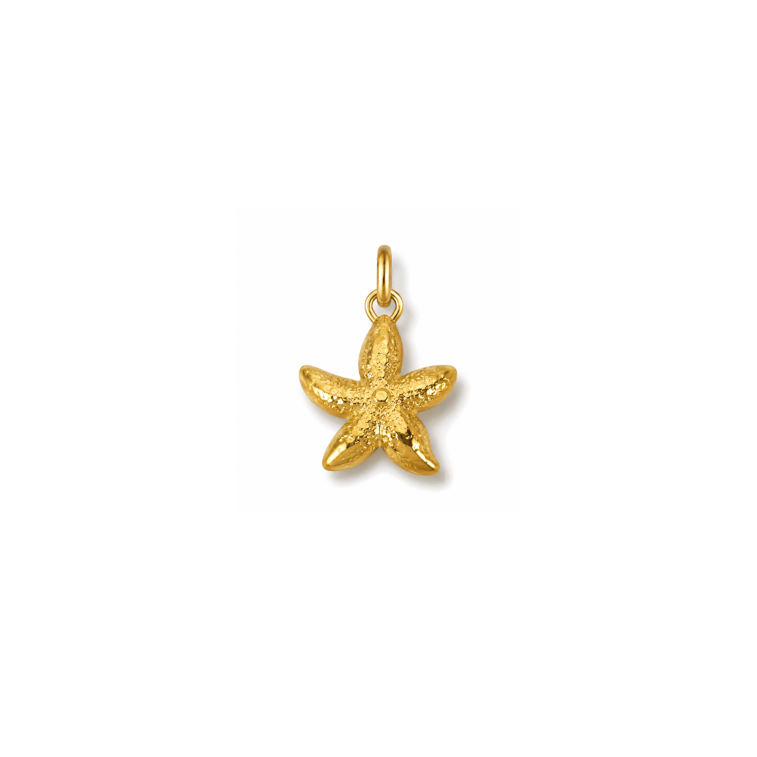 ENDLESS SUMMER | Mini Starfish