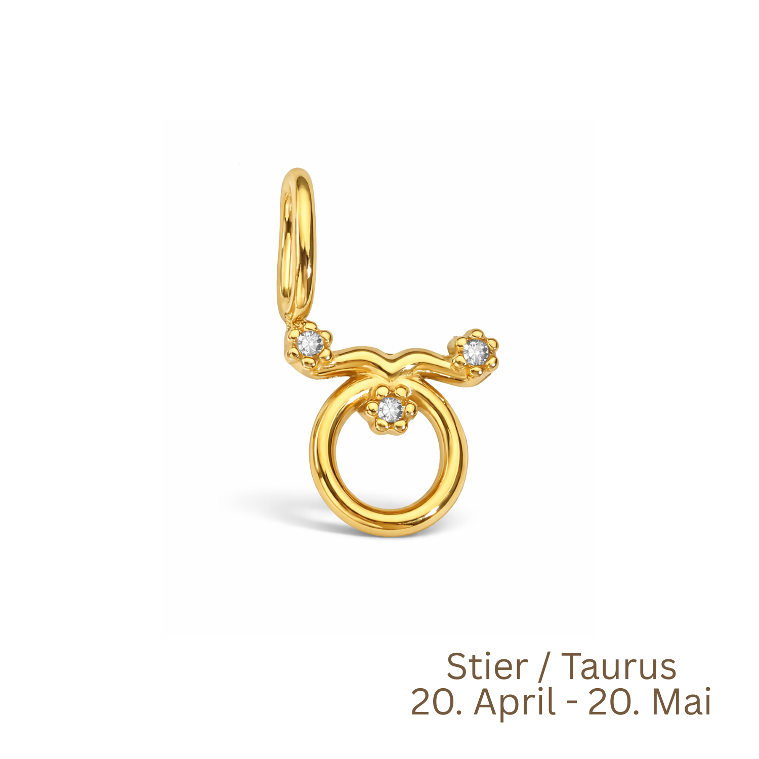 Zodiac Charm | Sternzeichen