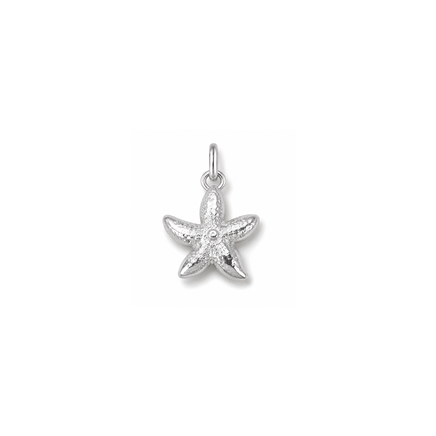 ENDLESS SUMMER | Mini Starfish