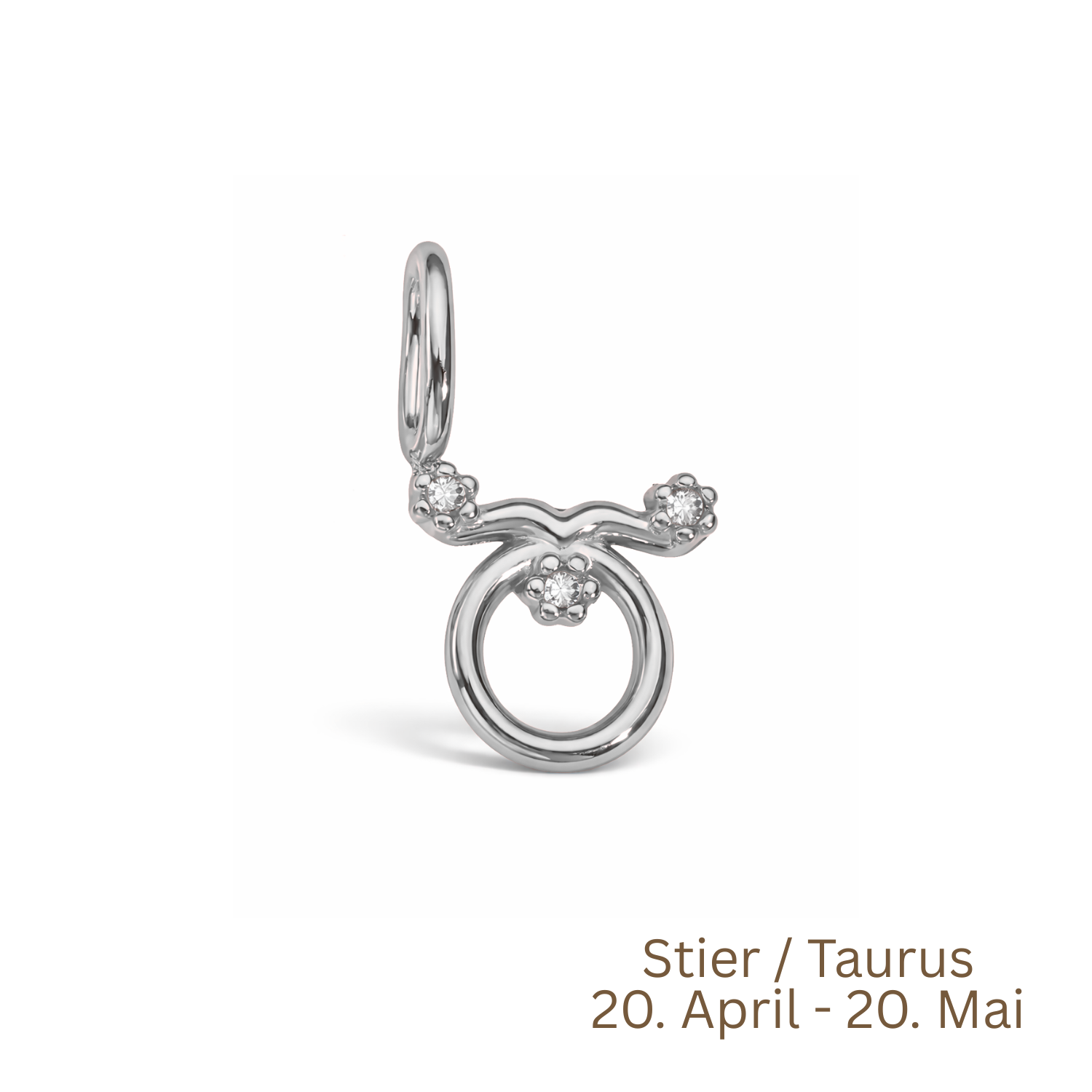 Zodiac Charm | Sternzeichen