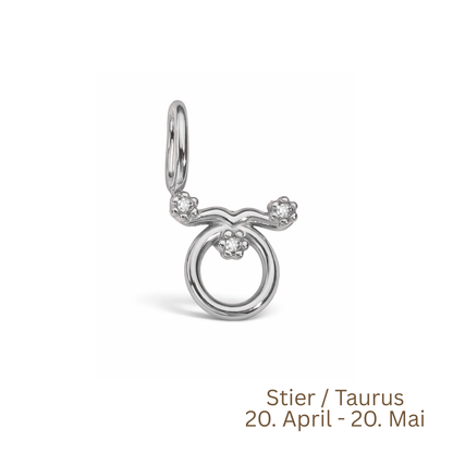 Zodiac Charm | Sternzeichen