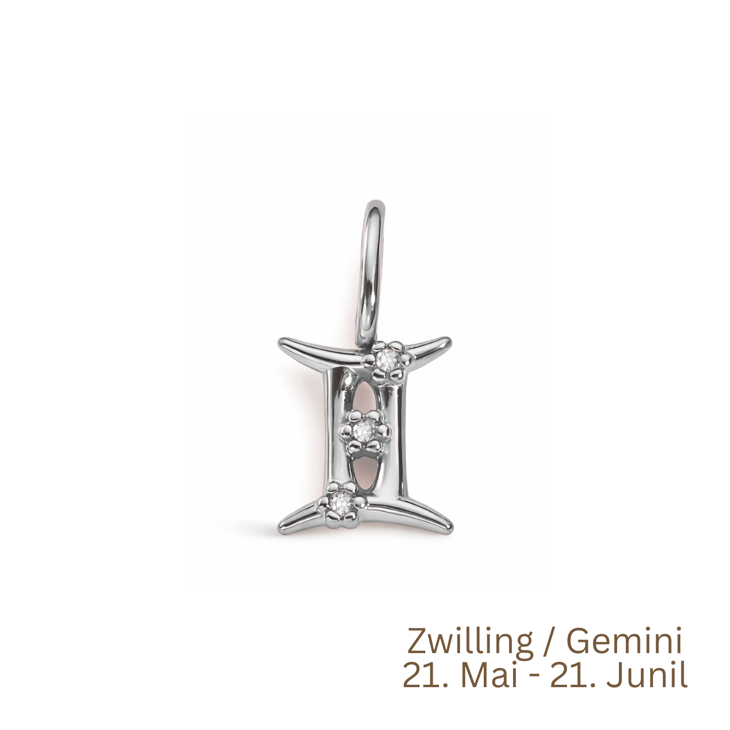 Zodiac Charm | Sternzeichen