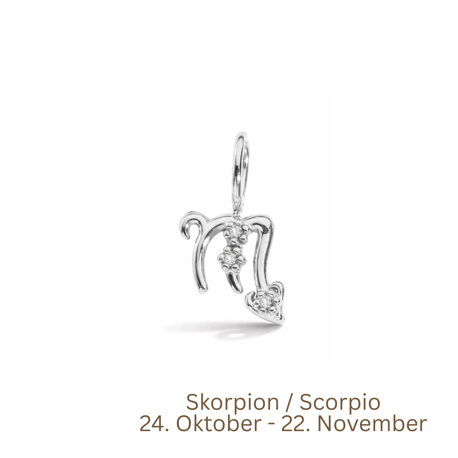 Zodiac Charm | Sternzeichen