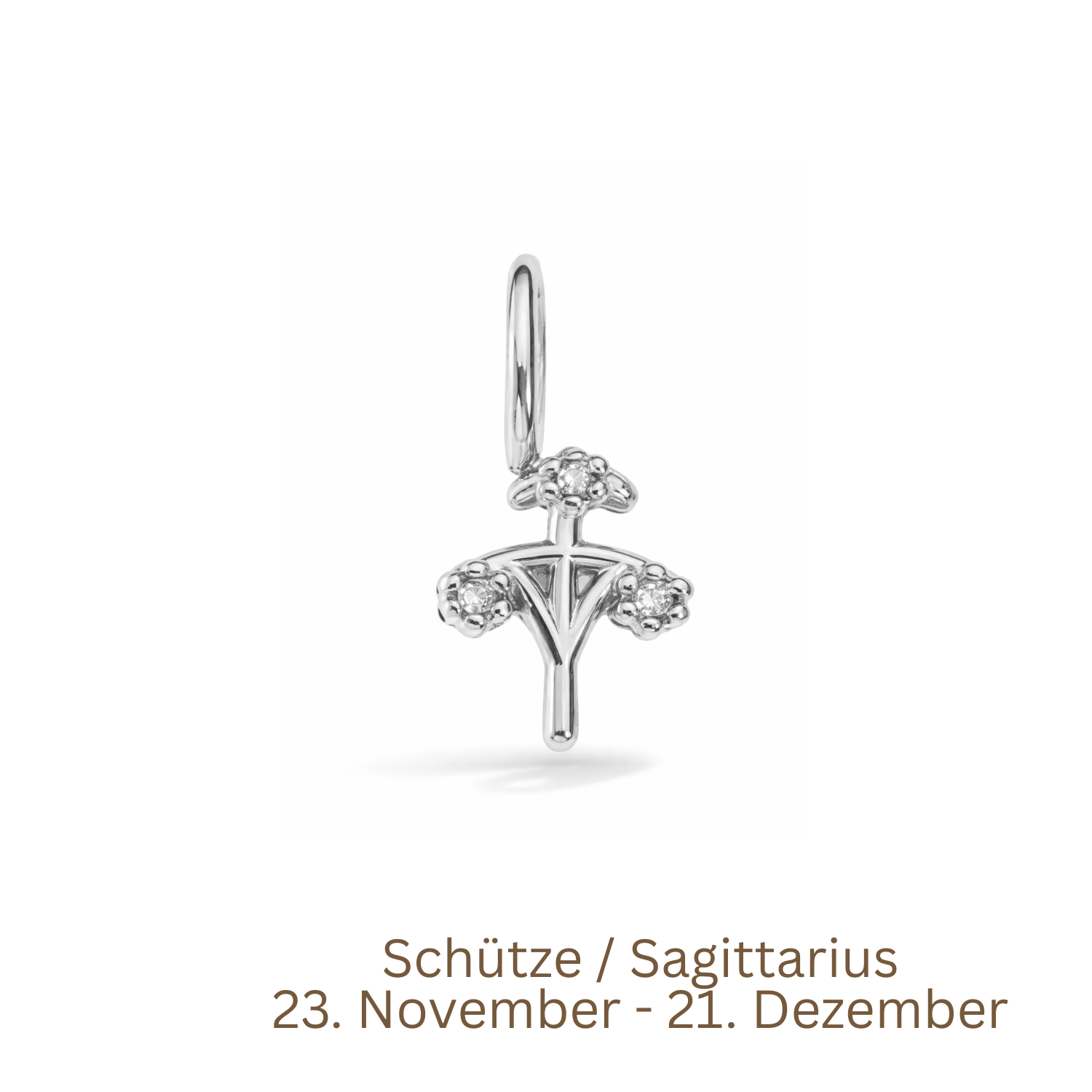 Zodiac Charm | Sternzeichen