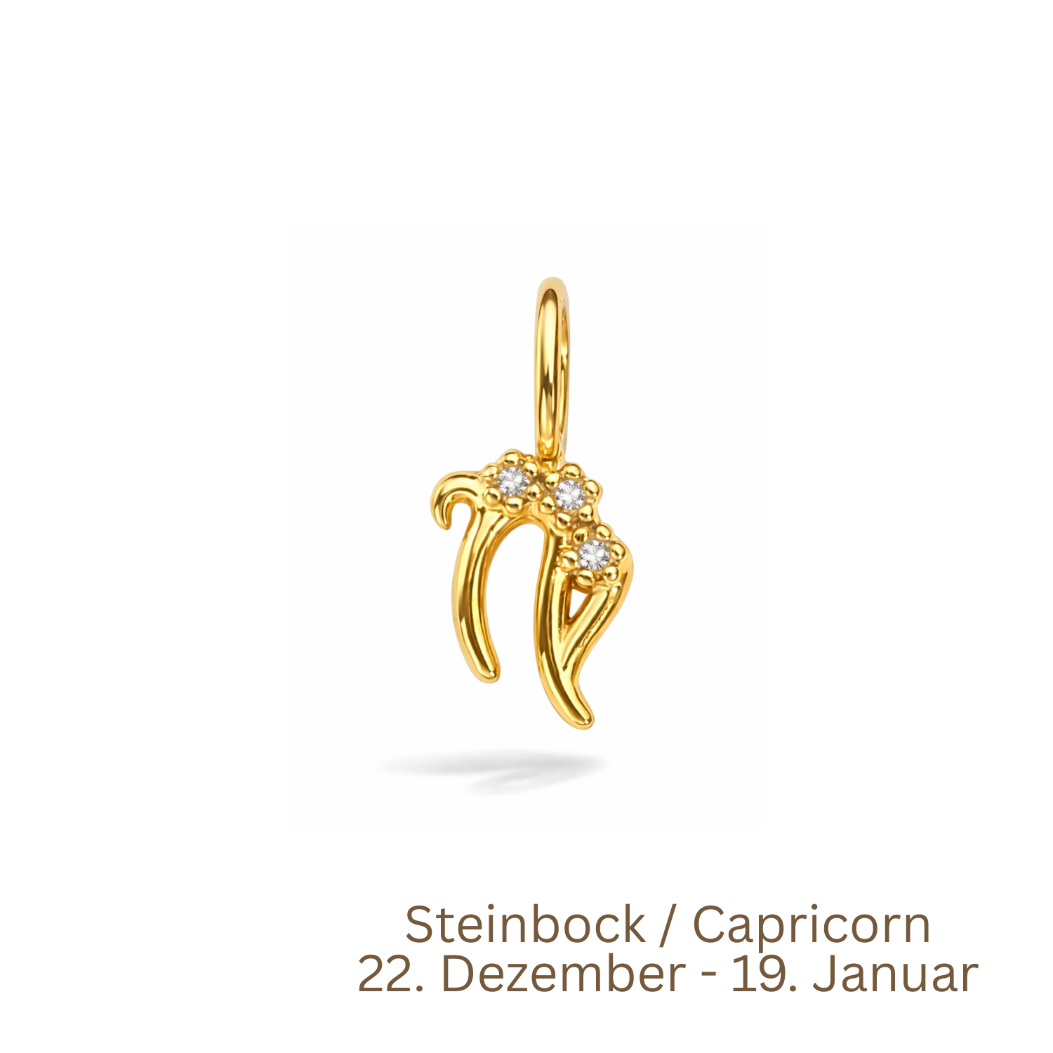 Zodiac Charm | Sternzeichen