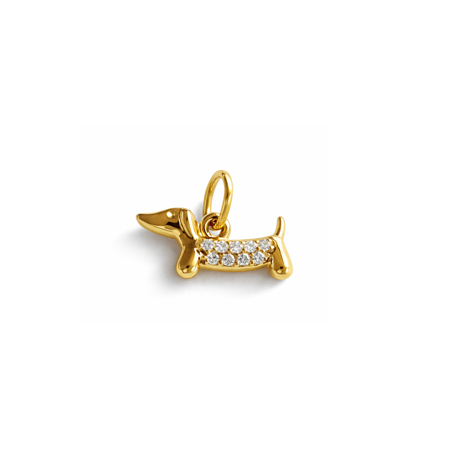Dog Charm