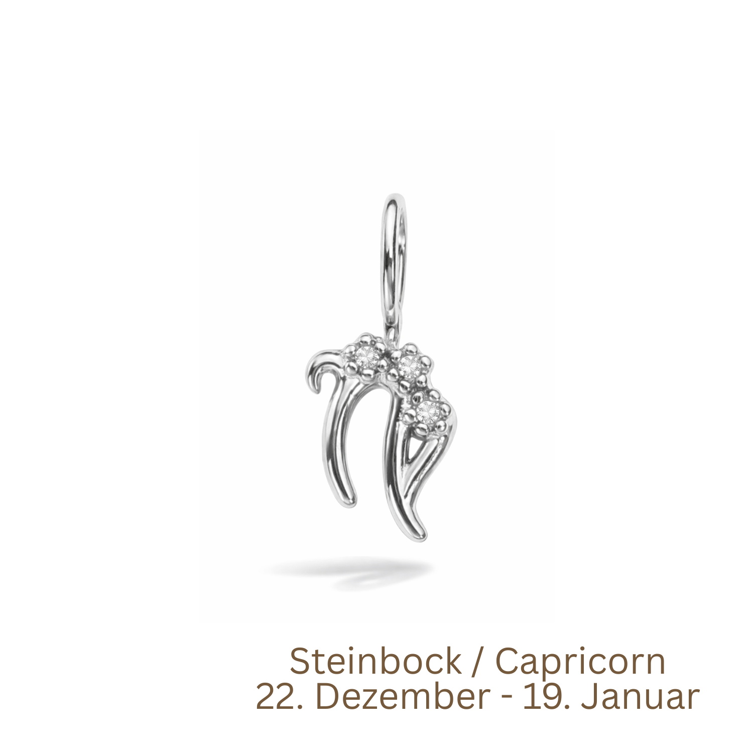Zodiac Charm | Sternzeichen