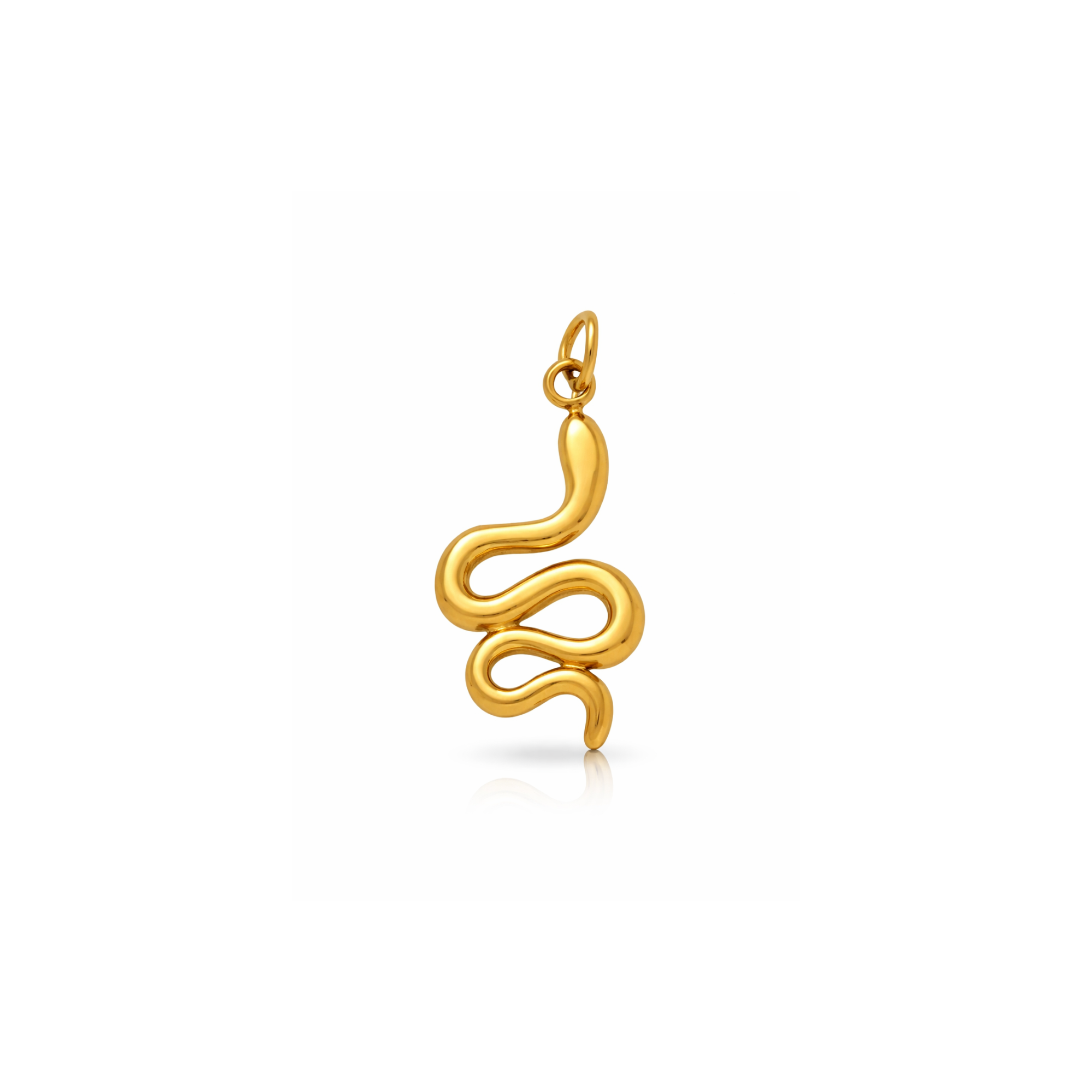 Snake Charm