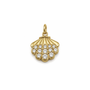 Shiny Shell Charm