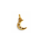 Glitter Moon Charm