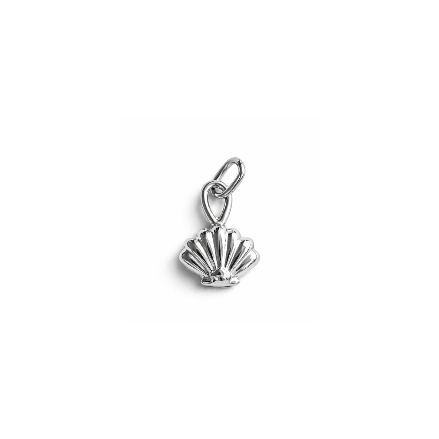 Muschel Charm
