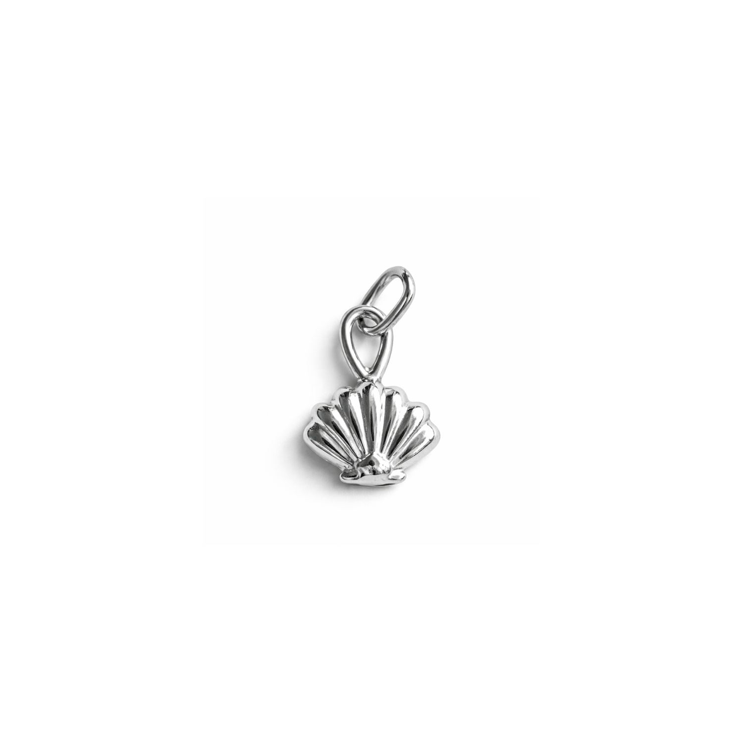 Muschel Charm