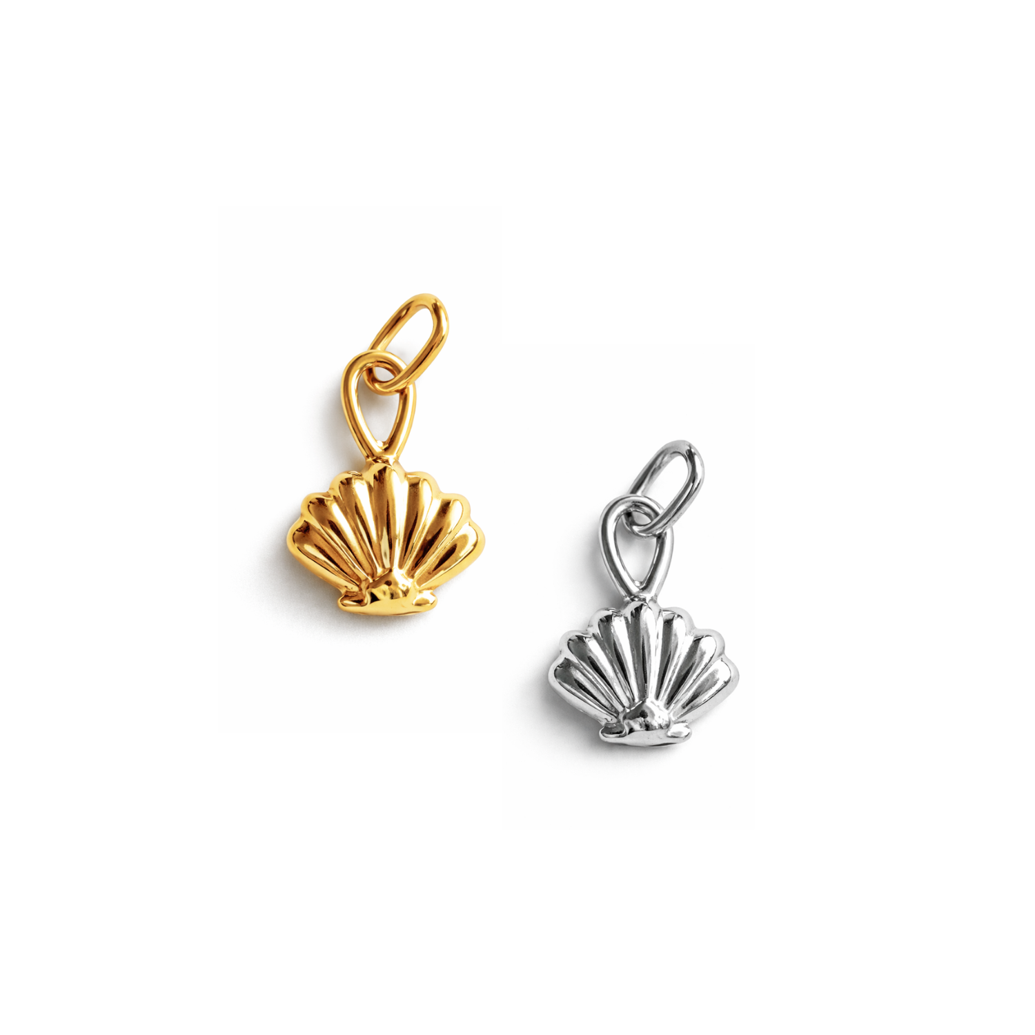 Muschel Charm