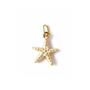 Seestern Charms