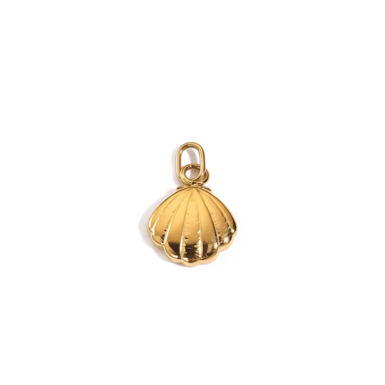GOLDEN HOUR | Shell Charm