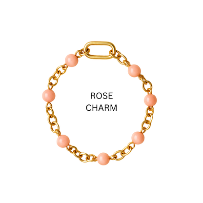 BUILD YOUR OWN Birki Charms