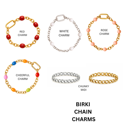 BUILD YOUR OWN Birki Charms